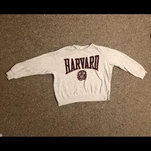 H&M Harvard Sweatshirt